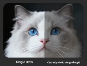 So sánh độ sáng máy chiếu Eroc Magic Ultra và máy chiếu cùng tầm giá